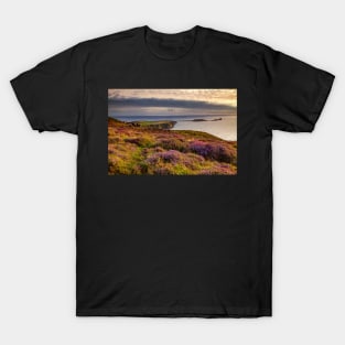 Worms Head, Rhossili Bay T-Shirt